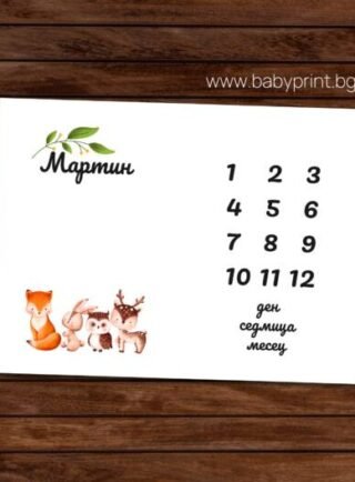 mesechinka jivotni e1684677599132