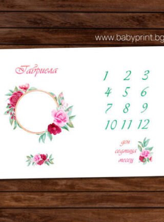 mesechinka venets scaled e1684678571678